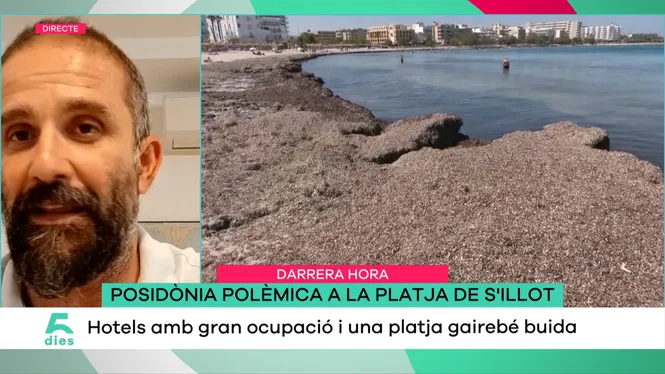 CINC DIES