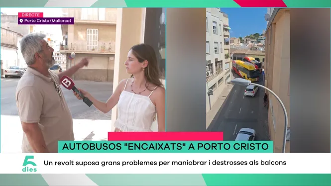 CINC DIES