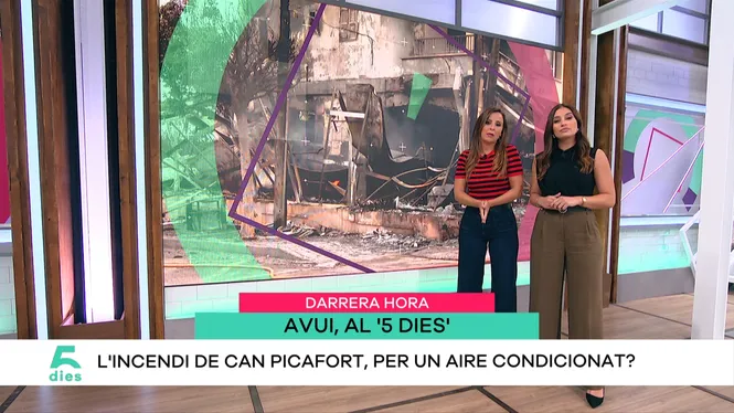 CINC DIES