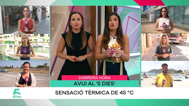 CINC DIES