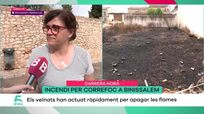 CINC DIES