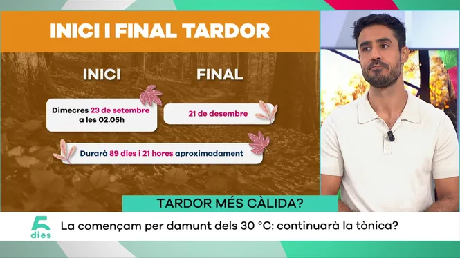 CINC DIES