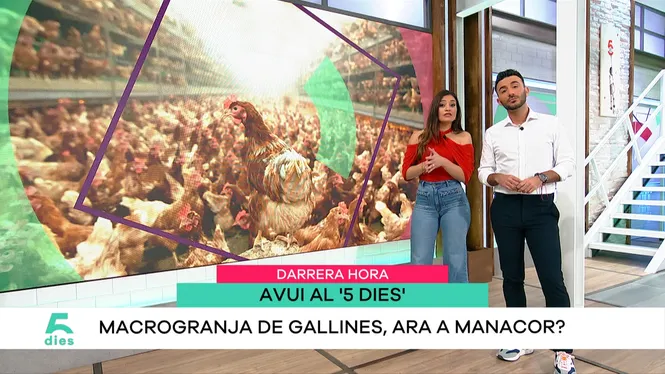 CINC DIES 