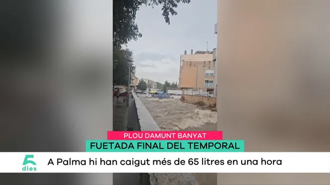 CINC DIES