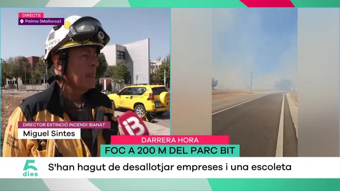 CINC DIES