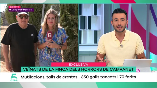CINC DIES