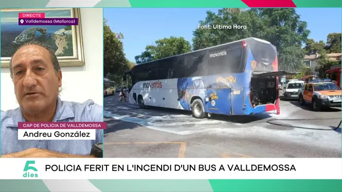 CINC DIES