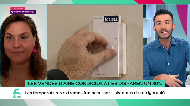 CINC DIES