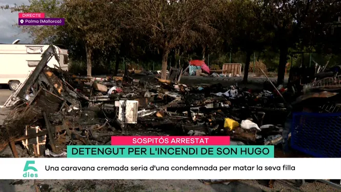 CINC DIES
