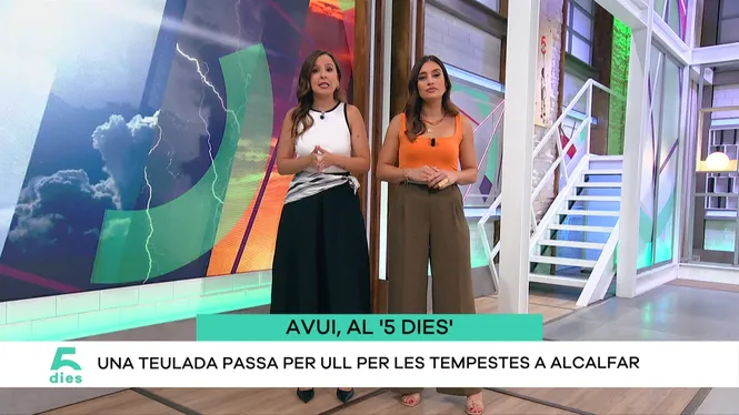 CINC DIES