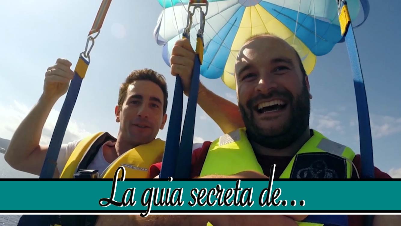 La guia secreta de...