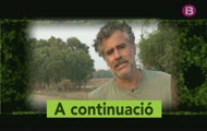 Val més ser previsor