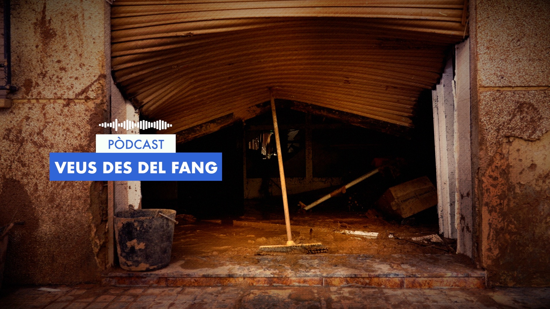 Veus des del fang