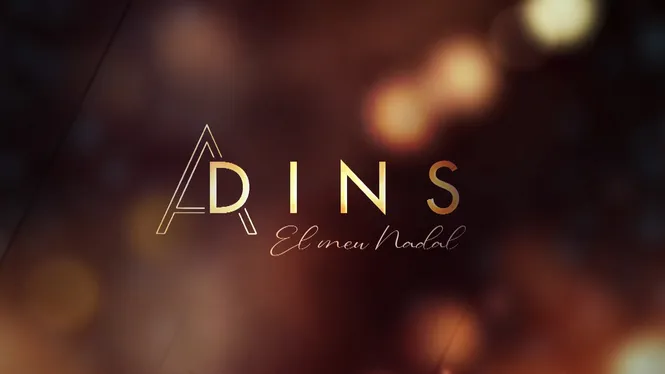 A DINS: EL MEU NADAL