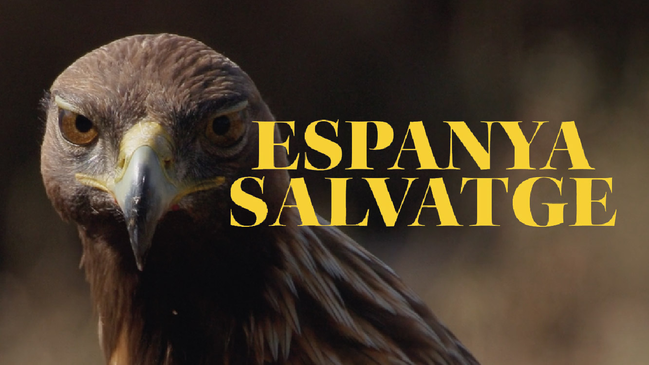 Espanya salvatge