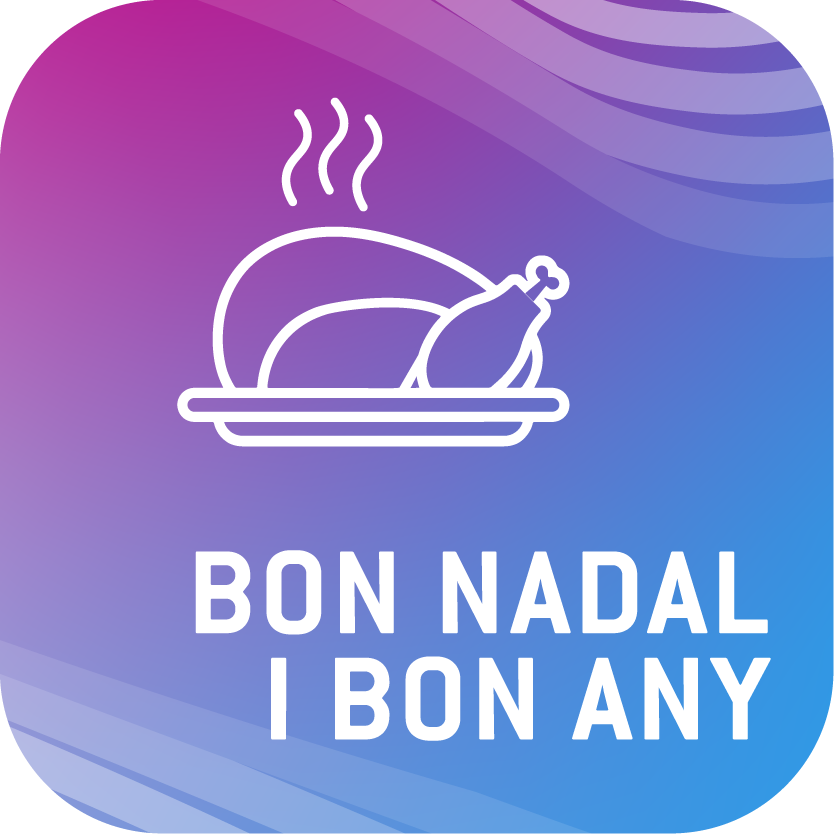 Bon Nadal i Bon Any