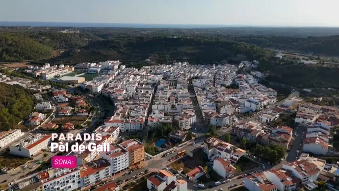 Jaleos de les festes de San Bartomeu - Ferreries