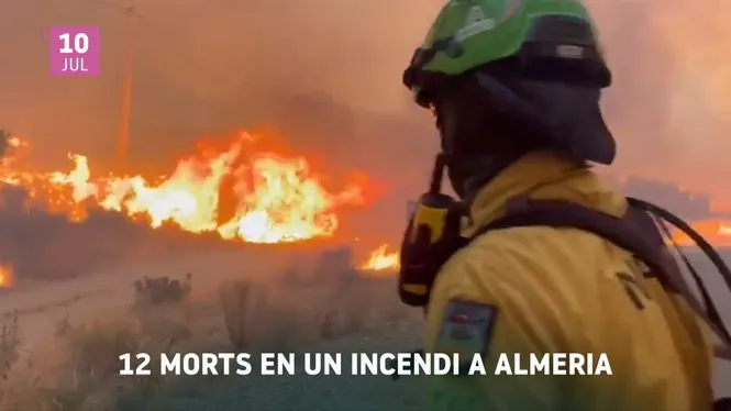 IB3 NOTÍCIES MIGDIA