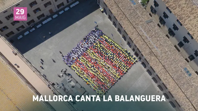 IB3 NOTÍCIES MIGDIA