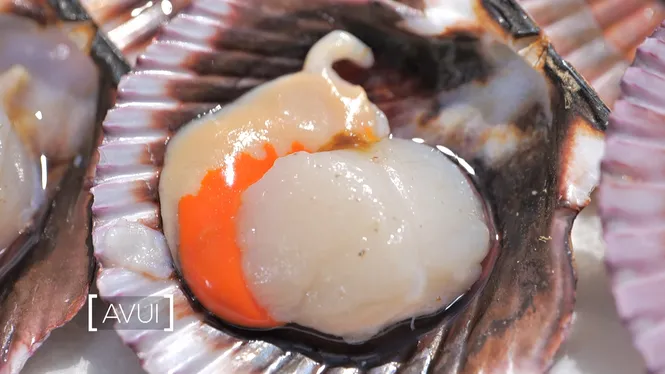 VIEIRES AMB SALSA DE MARISC