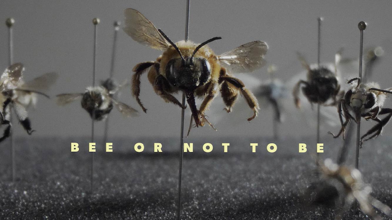 Bee or not to be