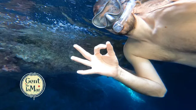 Pesca professional i xarxaire, oblades a la fluixa, aguiat de gatí