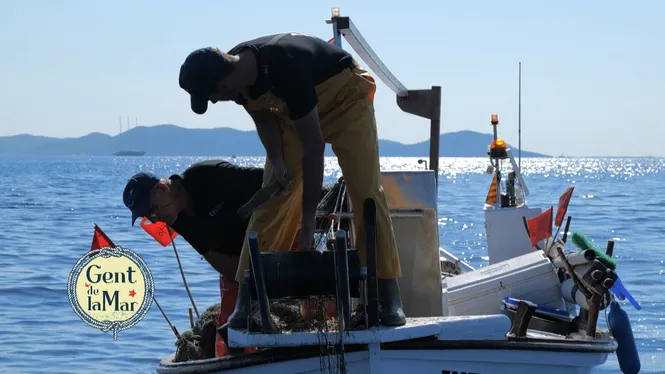 Pesca professional i xarxaire, oblades a la fluixa, aguiat de gatí