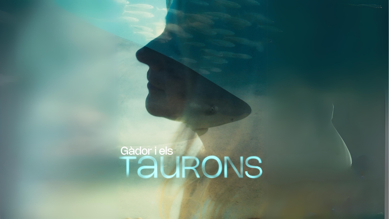 Gàdor i els taurons