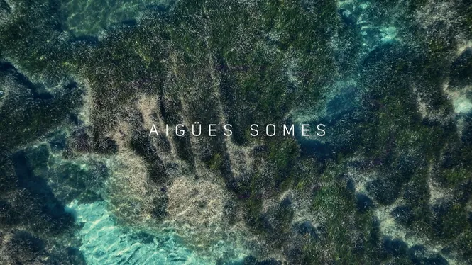 Albuferes i aigües somes