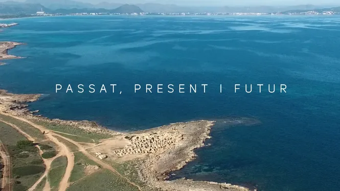 Passat, present i futur