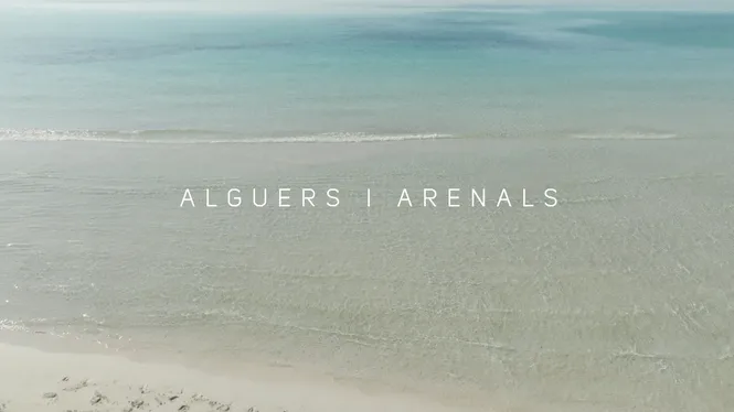 Alguers i arenals