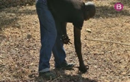 Ben a prop