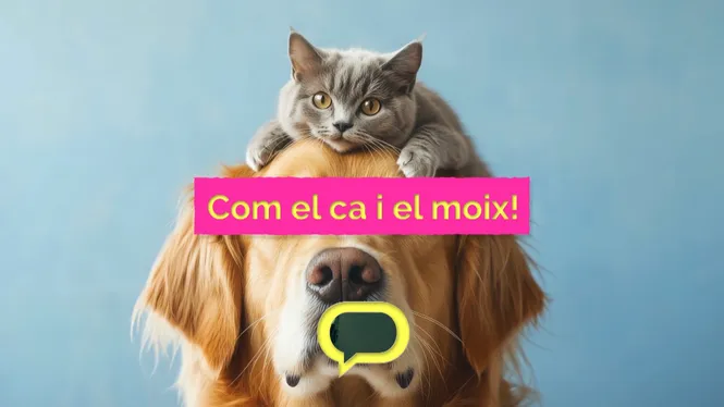 CANS I MOIXOS