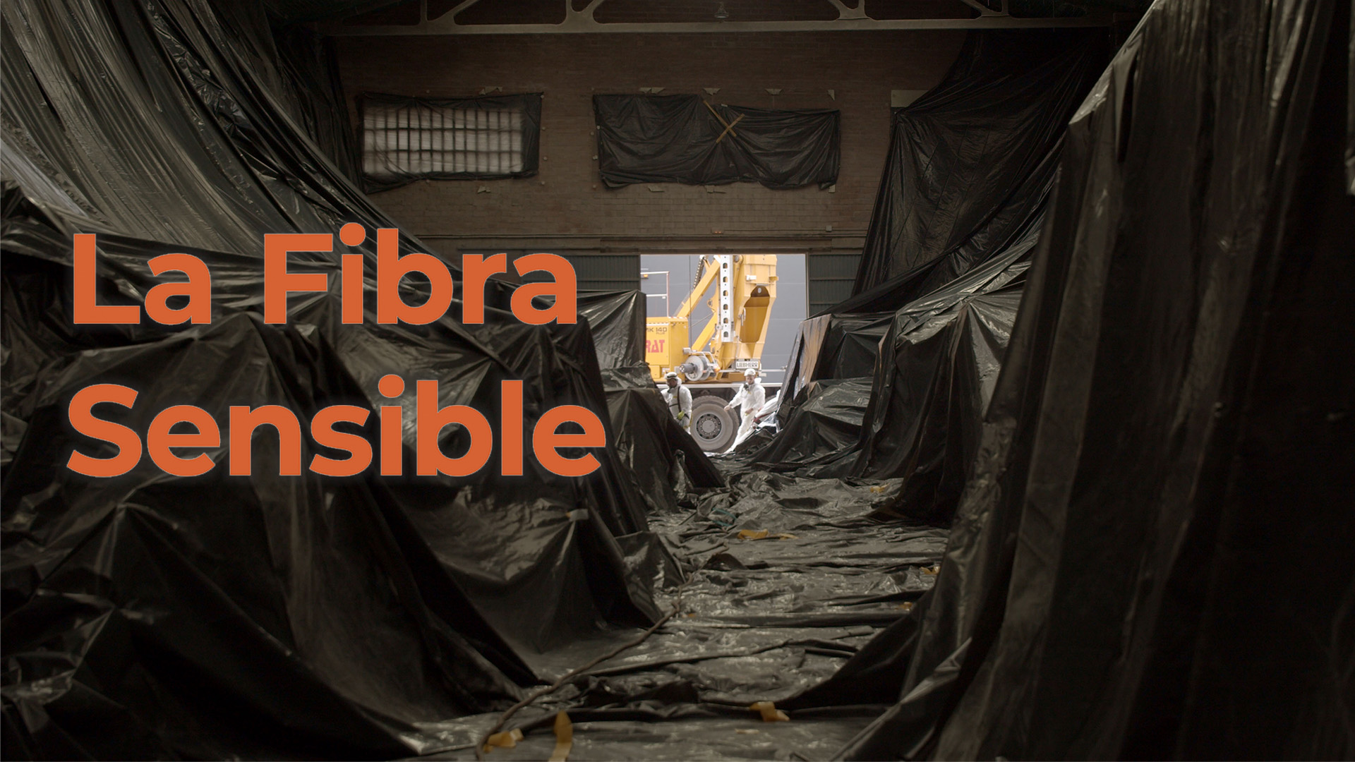 La fibra sensible