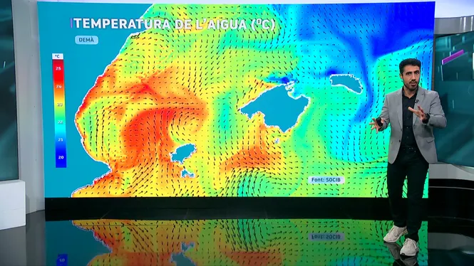 EL TEMPS IB3 - EDICIÓ VESPRE 11/06/26