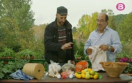 A matances som anat