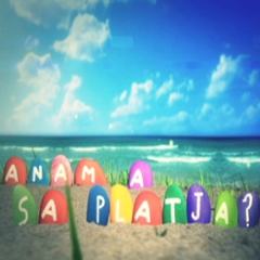 Anam a sa platja?
