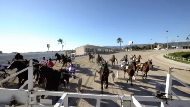 Gran Premi Nacional de Trot 2024