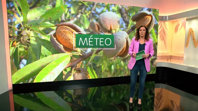 Méteo