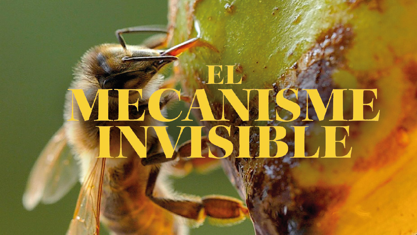 El mecanisme invisible