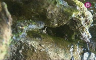 Habitants de les muntanyes