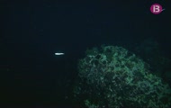 Negra nit sota el mar