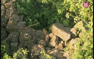 Missatges de la natura