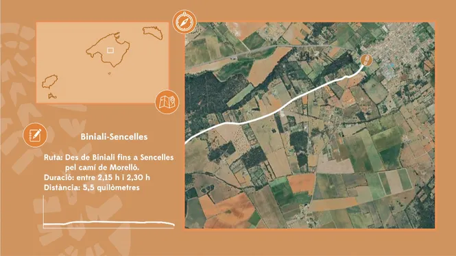 BINIALI- SENCELLES
