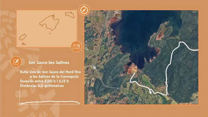 SON SAURA DEL NORD - SES SALINES
