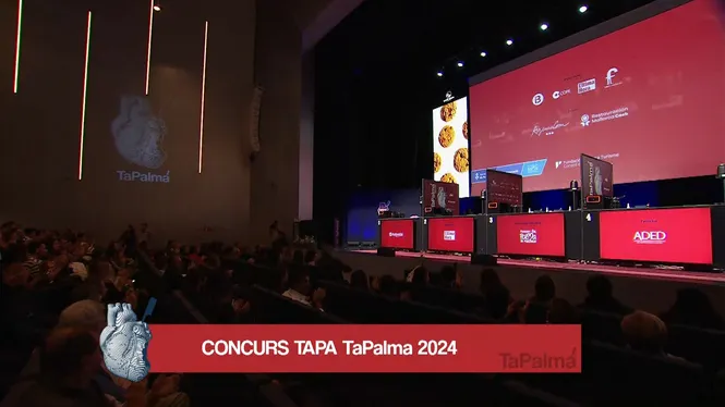 Concurs TaPalma 2024