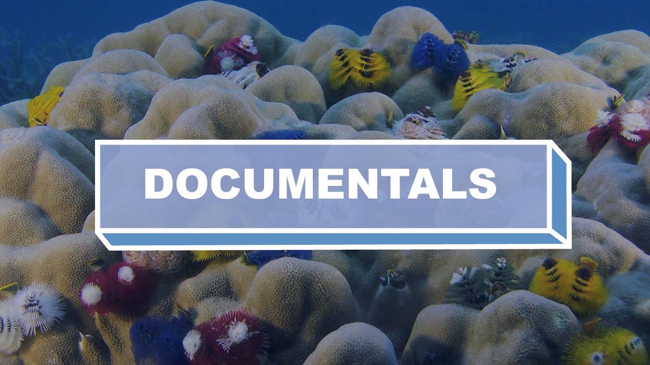 Documentals 