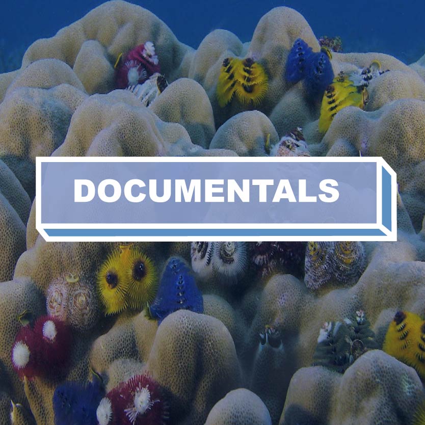 Documentals 