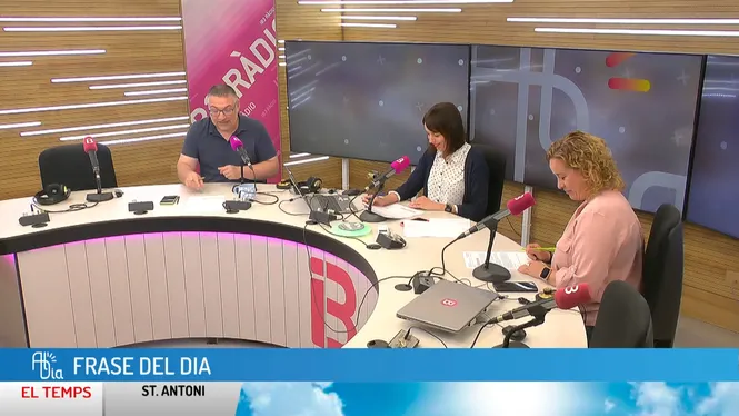 AL DIA