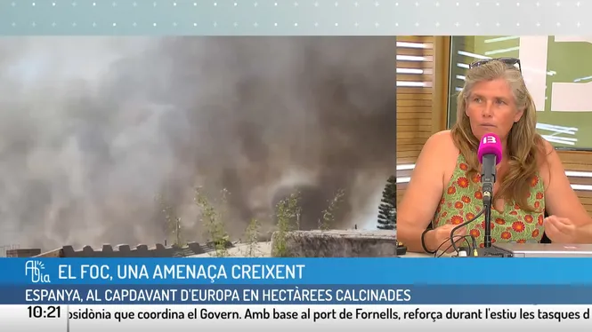 AL DIA
